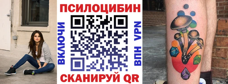 Галлюциногенные грибы Psilocybine cubensis  Спас-Деменск 