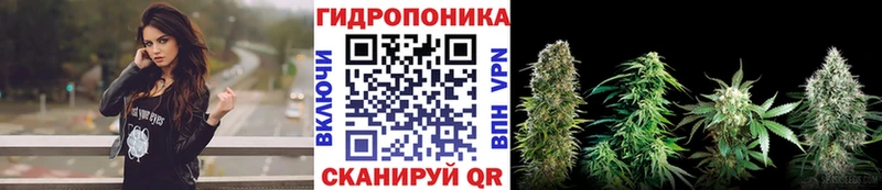 где продают   кракен сайт  Бошки марихуана конопля  Спас-Деменск 
